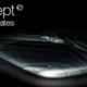 Illustration for article titled Will Acer's Gemstone Concept Leave Your Laptop Looking like Joan Rivers?